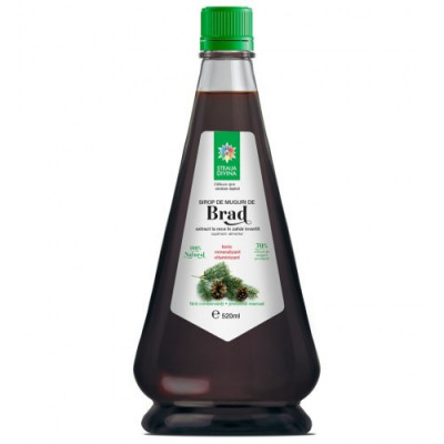 Sirop muguri brad presat la rece 520ml santo raphael foto