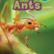 Ants: Animals That Make a Difference! (Engaging Readers, Level 2)
