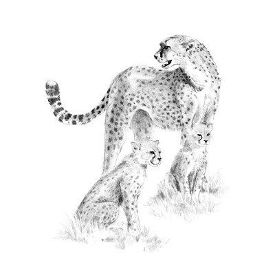 Crochiu incepatori-Cheetah cu pui 22x29 cm foto