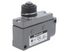 Limitator de cursă BZE7-2RN-PG