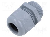Garnitură de etanșare ILME PG21 poliamidă gri