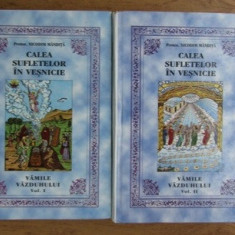 Calea sufletelor in vesnicie. Vamile vazduhului (vol. I +II) - Nicodim Mandita