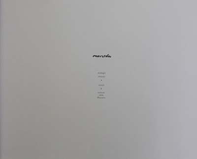 MAVRODIN . ANALOGII , OBSESII , ESEURI , SCRISORI CATRE MAESTRU , 2014 foto