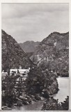 Bnk cp Oltul la Cozia - Vedere - necirculata, Printata, Valcea