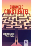 Enigmele constientei | Enrico Facco, Fabio Farcas