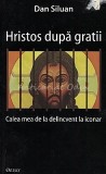 Cumpara ieftin Hristos Dupa Gratii. Calea Mea De La Delincvent La Iconar - Dan Siluan
