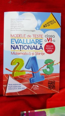 MATEMATICA SI STIINTE CLASA A VI A EVALUARE NATIONALA MODELE SI TESTE ,GOGAN foto