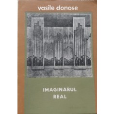 Imaginarul Real - Vasile Donose , E441