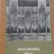 Imaginarul Real - Vasile Donose , E441