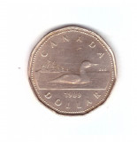 Moneda Canada 1 dollar/dolar 1989, stare foarte buna, curata
