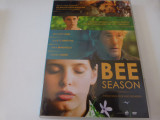 Bee season - Richard Gere , b600