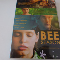 Bee season - Richard Gere , b600