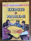 Exercitii si probleme pt. cl. I-V - Gheorghe Calugarita / R2P5S