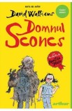 Domnul Sconcs - David Walliams
