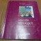 EDUCATIE TEHNOLOGICA -Clasa a V -a - Octavian Mandrut (coordonator) -2001, 96 p.