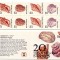 SUA 1985, Fauna, carnet, serie neuzata, MNH