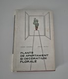 Eugen Sadofsky Plante de apartament si decoratiuni florale