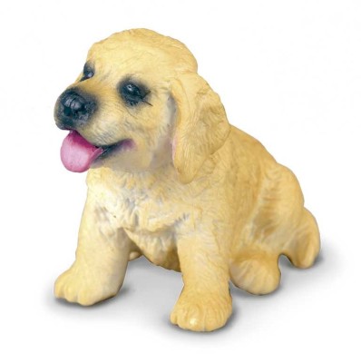 Golden Retriever Pui S Collecta foto