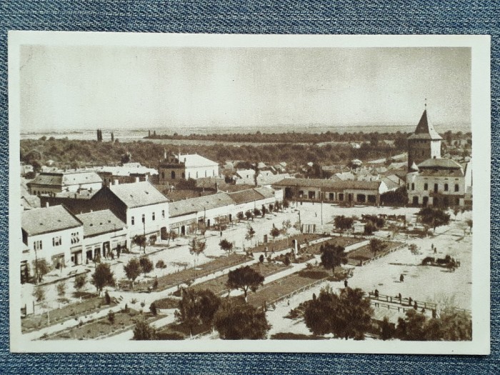 604 - Salonta , vedere / carte postala RPR necirculata sepia