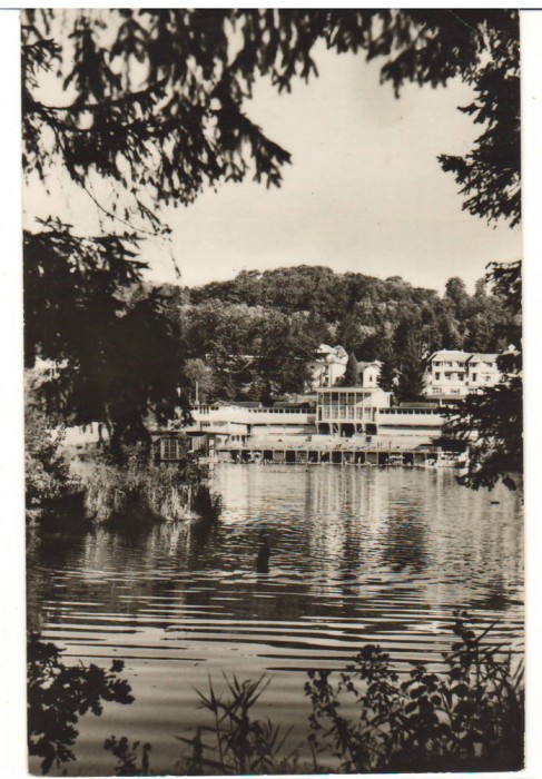 CPIB 22729 - CARTE POSTALA - SOVATA. LACUL URSU