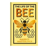 The Life of the Bee