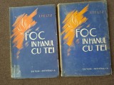 FOC IN HANUL CU TEI I PELTZ VOL I-II 1934 25/3