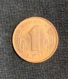 Moneda 1 leu 1993