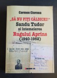 &quot;Să nu fiți căldicei&quot; Sandu Tudor și &icirc;ntemeierea RUGULUI APRINS - Carmen Ciornea