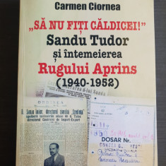 "Să nu fiți căldicei" Sandu Tudor și întemeierea RUGULUI APRINS - Carmen Ciornea