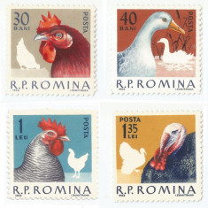 Romania, LP 560/1963, Pasari de prada, MNH