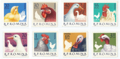 Romania, LP 560/1963, Pasari de prada, MNH foto