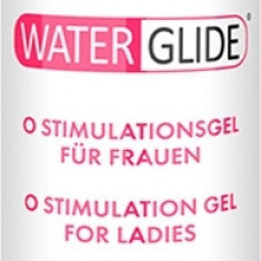 Lubrifiant Waterglide Orgasm Gel 300ml