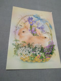 Cumpara ieftin CARTE POSTALA FELICITARE PASTI CIRCULATA