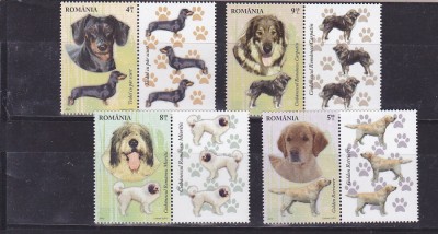 Rase de c&amp;acirc;ini, serie cu vinietă, 2012, LP 1949c, MNH foto