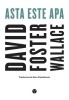 Asta este apa &ndash; David Foster Wallace - Roman