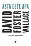 Asta este apa &ndash; David Foster Wallace