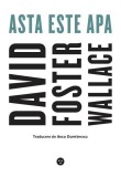 Asta este apa &ndash; David Foster Wallace - Roman