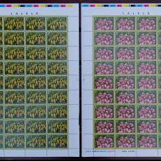 RO 2006 LP 1716 " Lalele " ,valorile mari in coli x36 , nominal 183.60 Lei , MNH