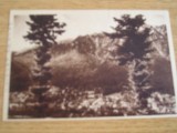QW25 P - Carte postala - tematica turism - vedere - Poiana Tapului 4