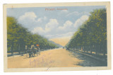 3962 - PLOIESTI, Ave. Romania - old postcard, CENSOR - used - 1918, Circulata, Printata