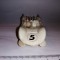 bnk jc Chaparral no 822 - Mini Mite