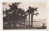Bnk cp Croatia - Abbazia ( Opatija ) - Vedere - necirculata, Printata
