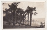 bnk cp Croatia - Abbazia ( Opatija ) - Vedere - necirculata