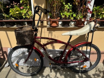 Pegas strada 1 foto