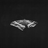 To Pimp A Butterfly - Vinyl (33 RPM) | Kendrick Lamar