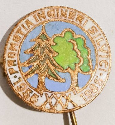 INSIGNA PROMOTIA INGINERI SILVICI 1955 1985 XXX ANI SILVICULTURA SILVIC AGRICOL AGRICULTURA ( CITITI DESCRIEREA ) foto