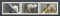 Foto  - 1