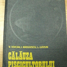 CALAUZA PISCICULTORULUI-V.VOICAN,I.RADULESCU,L.LUSTUN