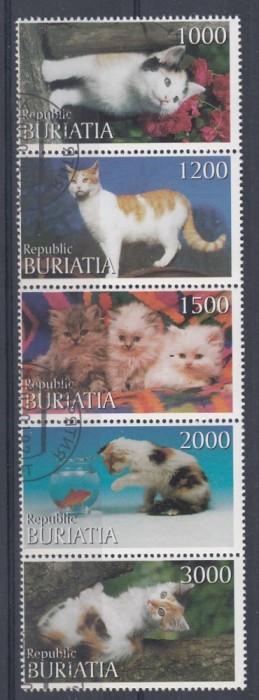 Rusia - Buriatia - PISICI - CTO