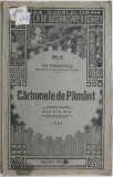 Carbunele de Pamant - Ion Simionescu - Roman - Carte beletristica